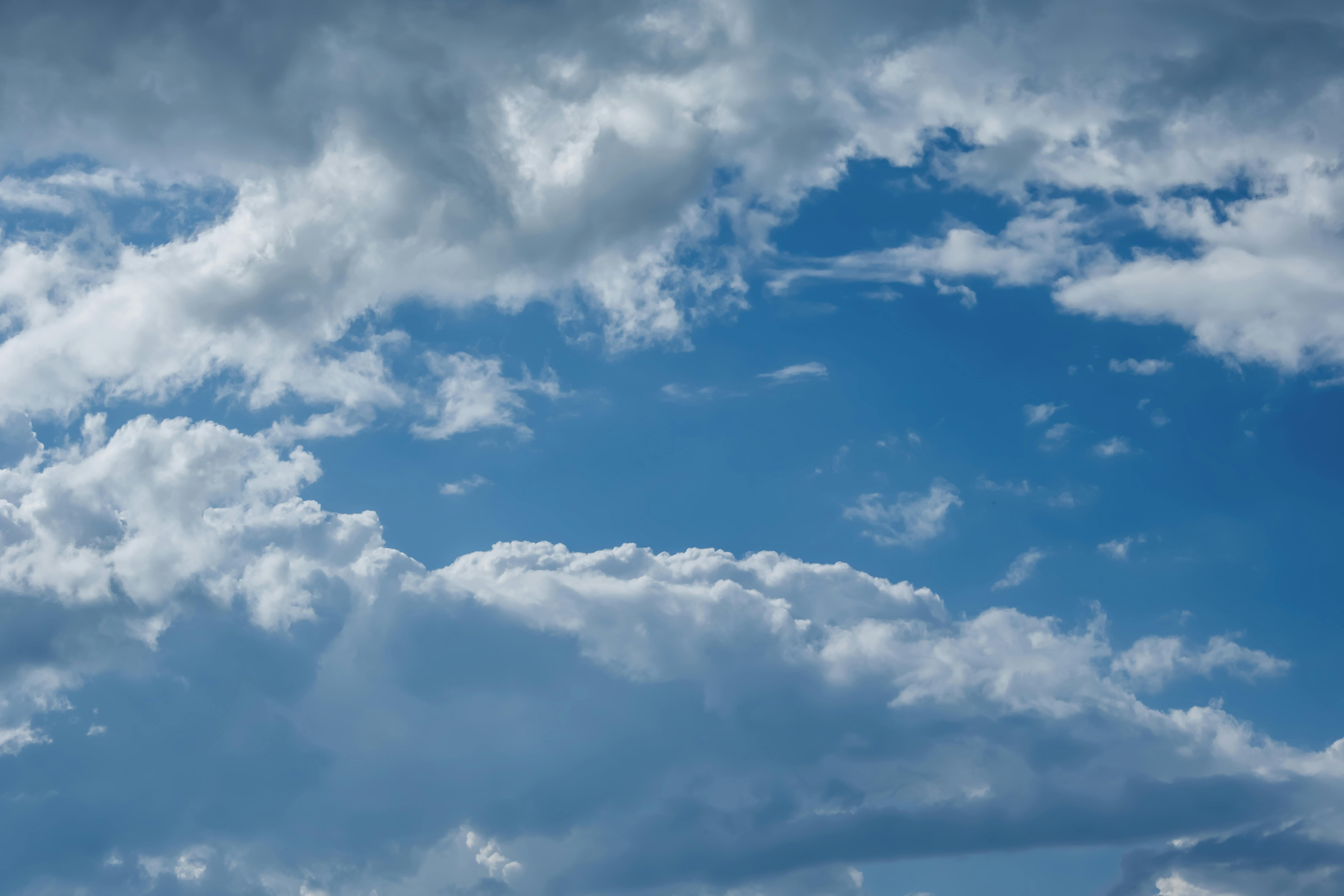 Stadtblick in Freiburg Im Breisgau - Webdesigner Freiburg Im Breisgau