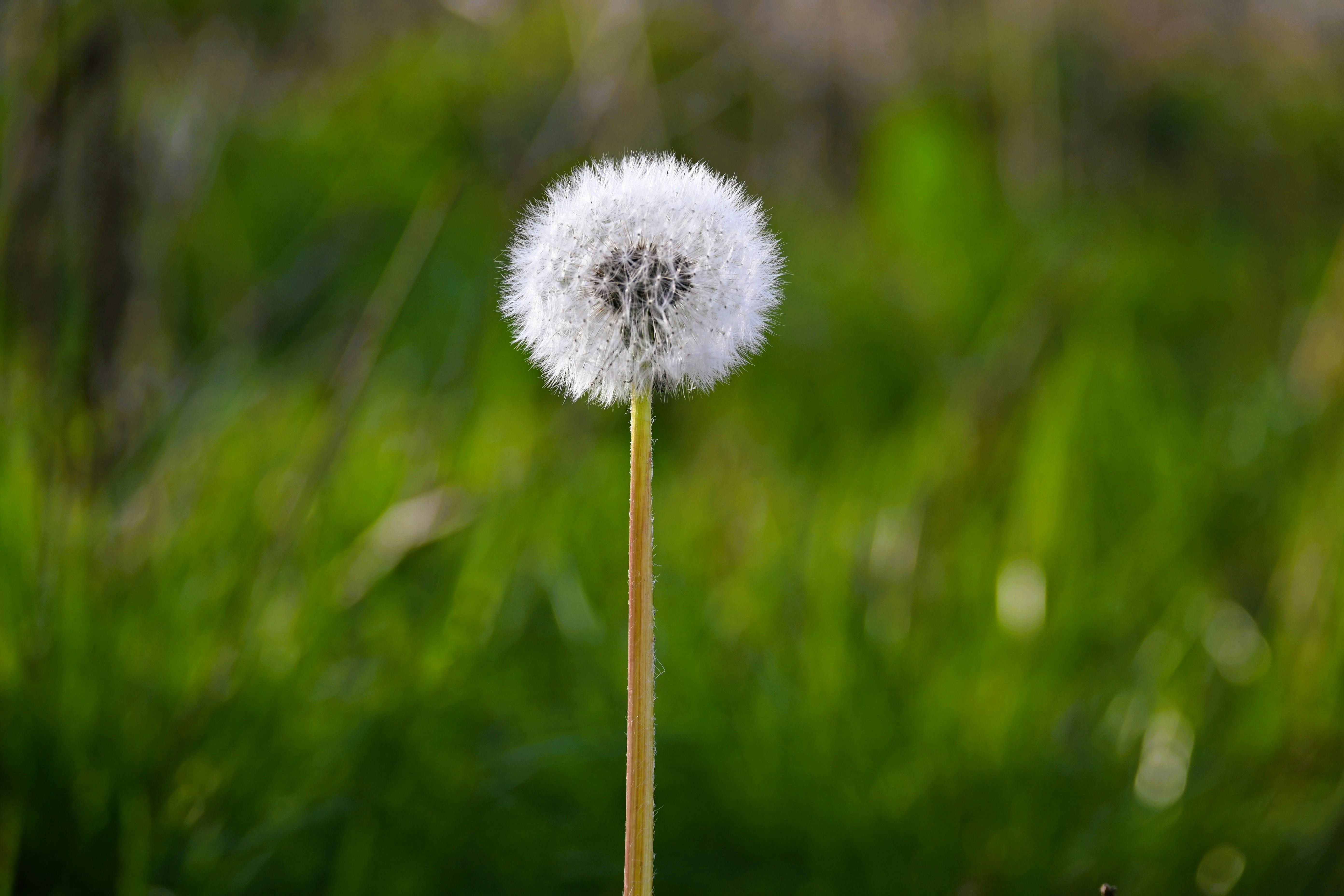 Stadtblick in Waiblingen - SEO Agentur Waiblingen und Webdesign Waiblingen