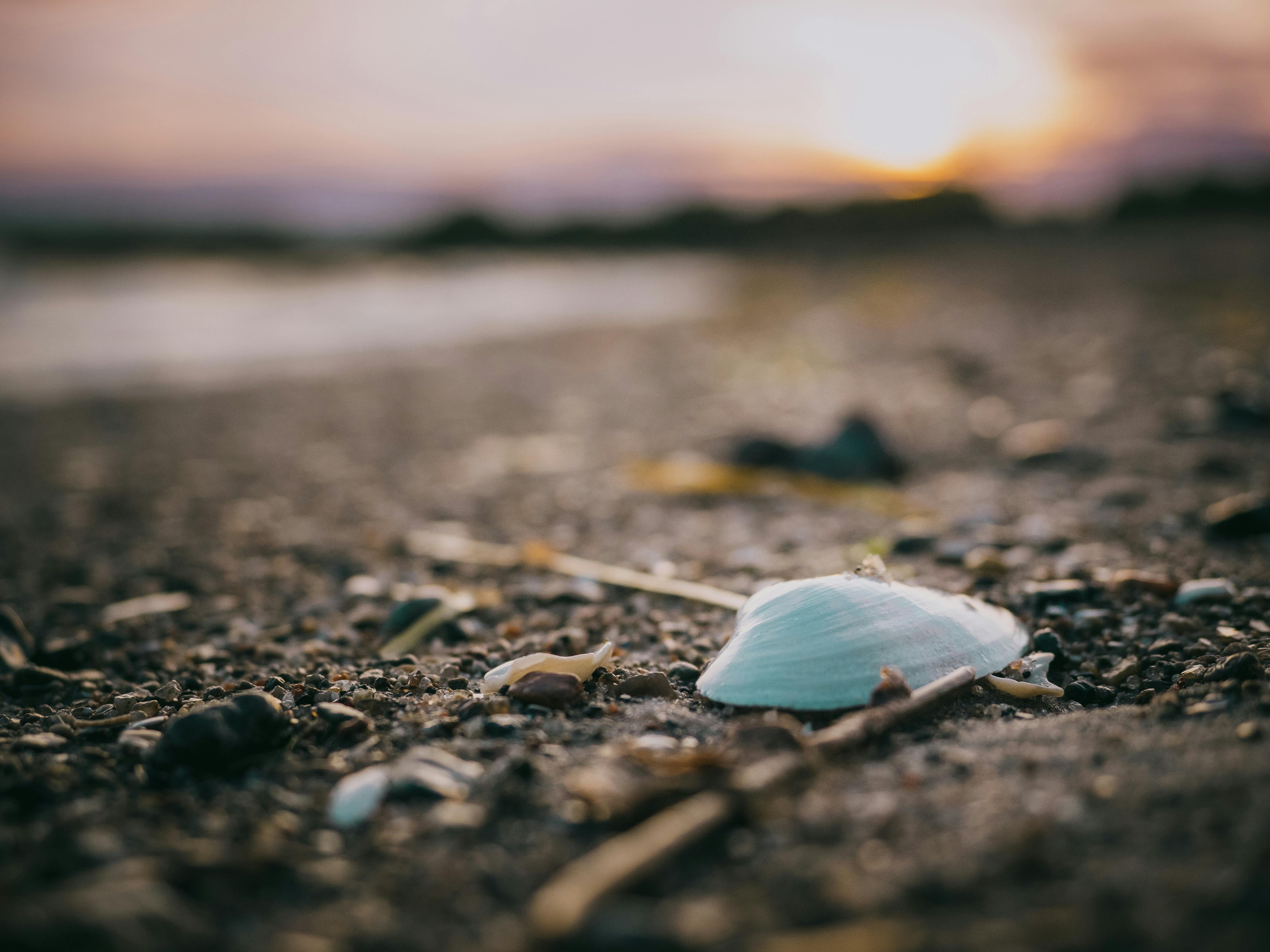 Stadtblick in Neustadt In Holstein - SEO Agentur Neustadt In Holstein und Webdesign Neustadt In Holstein