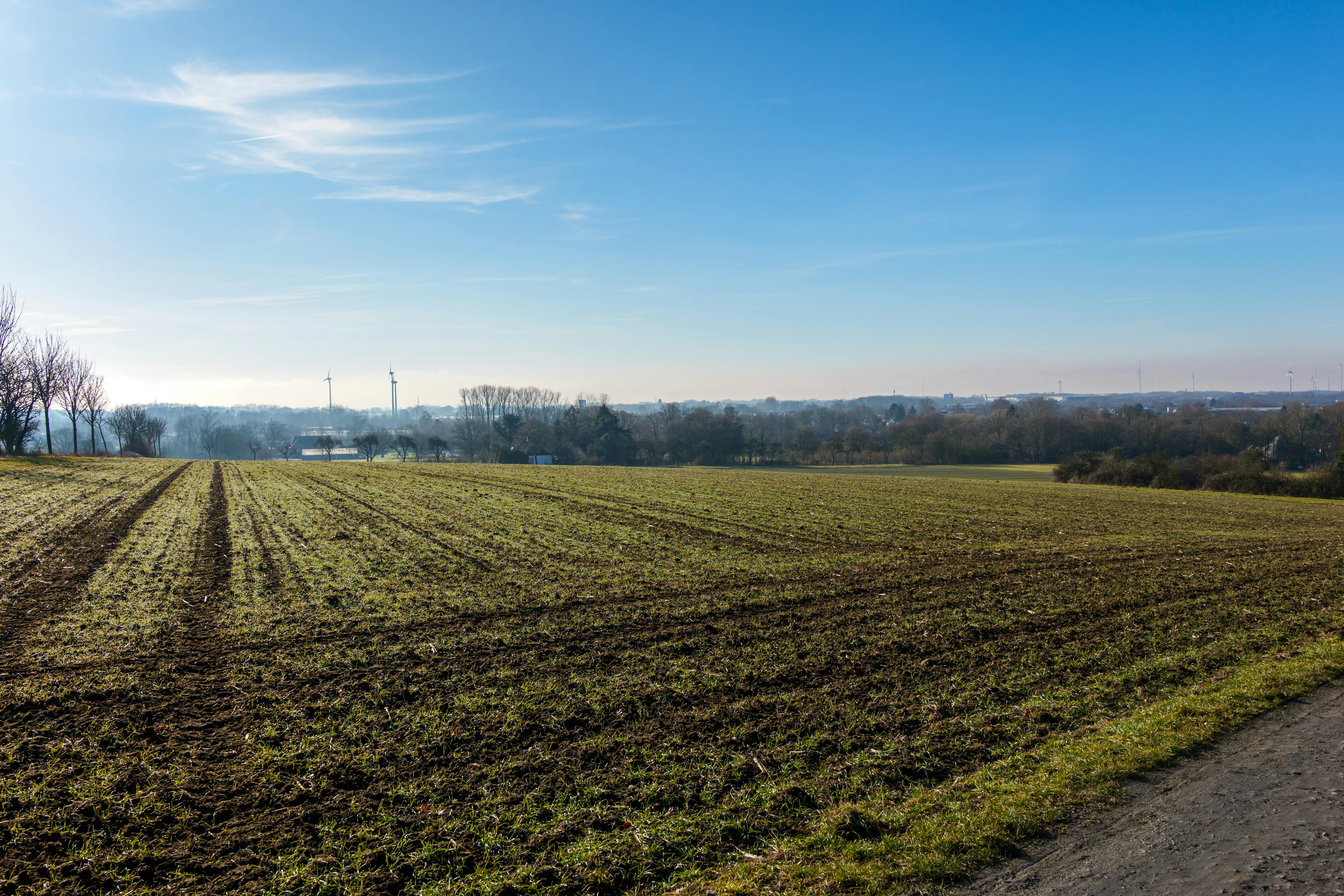 Stadtblick in Weimar - SEO Agentur Weimar und Webdesign Weimar