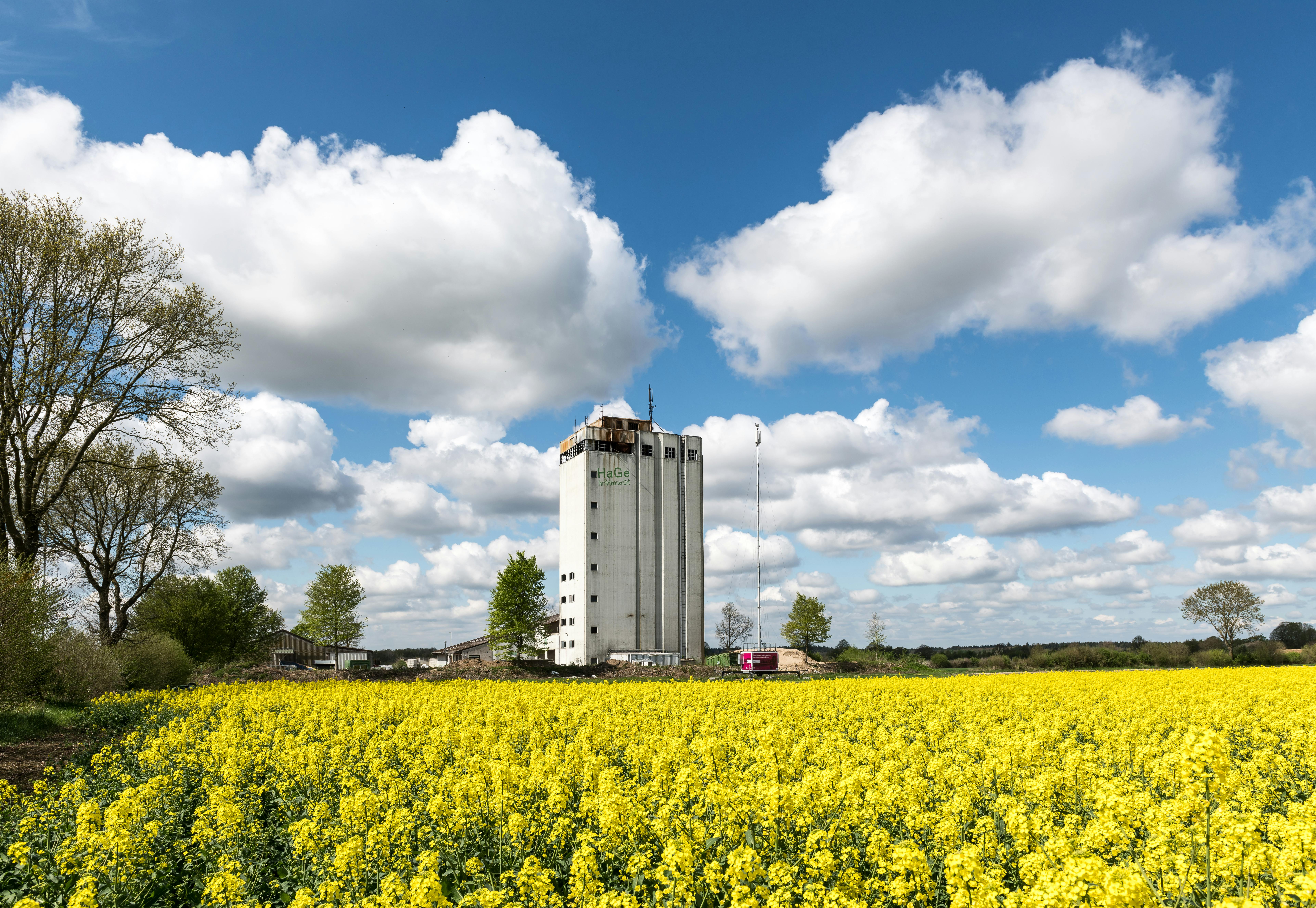 Nord Schleswig-Holstein - Region in Schleswig-Holstein - SEO Agentur, Webdesign und KI-Automatisierung