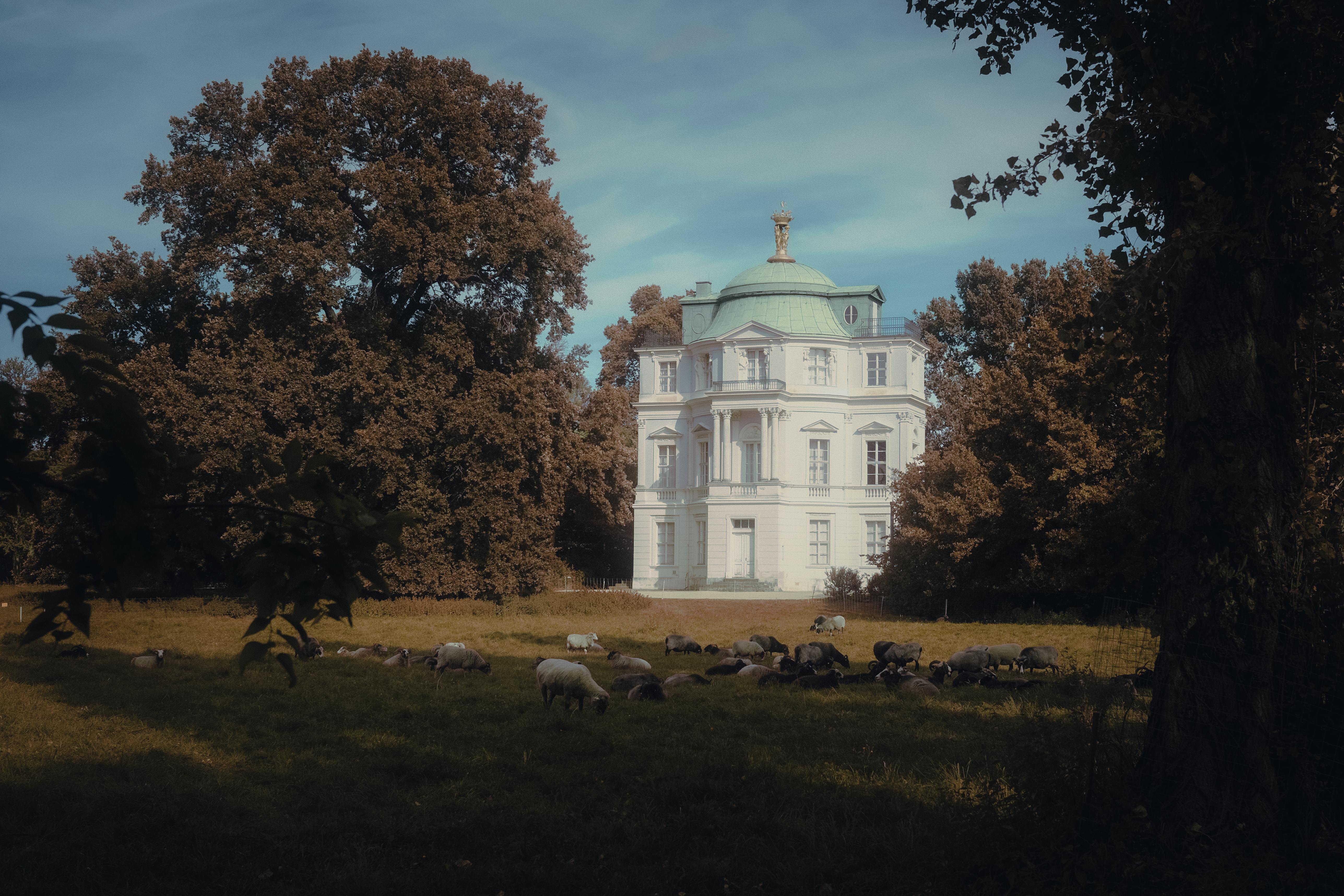 Berlin - Bundesland in Deutschland - SEO Agentur, Webdesign und KI-Automatisierung